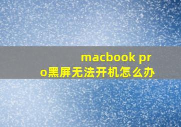 macbook pro黑屏无法开机怎么办